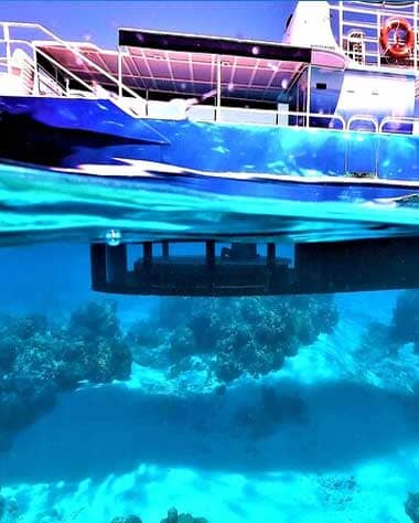 Bora Bora Observation of marine flora and fauna