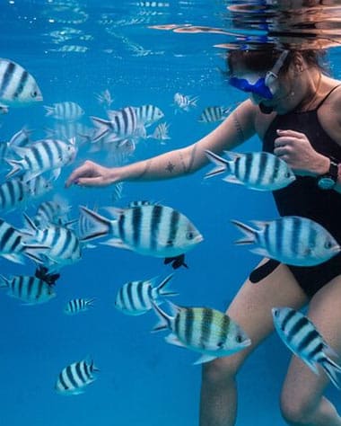 Half-Day Snorkeling Tour from Papeete