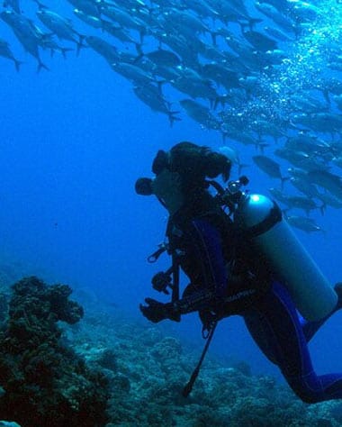 Tahiti Diving Excursions Tours
