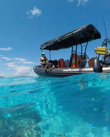Tohora Bora Bora Snorkeling Lagoon Tours