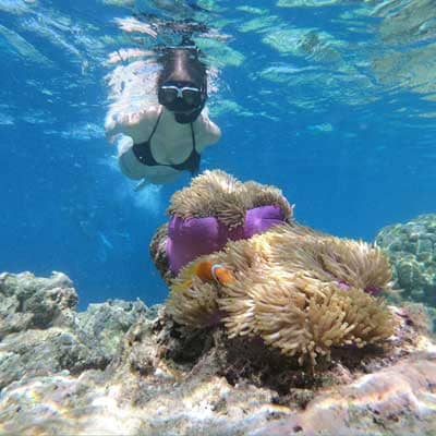 Bora Bora snorkeling tours