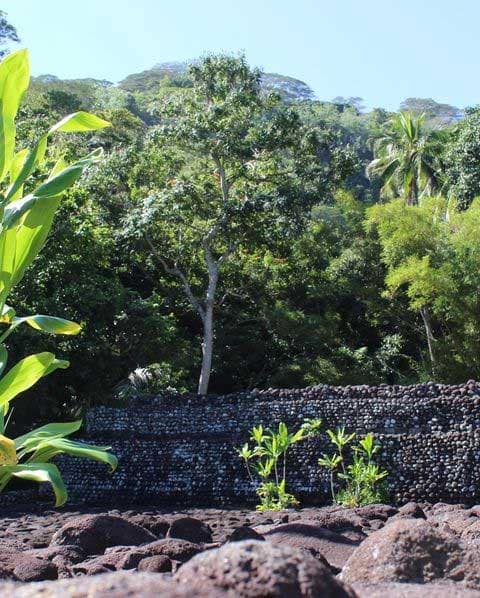 Marae Arahurahu historic site