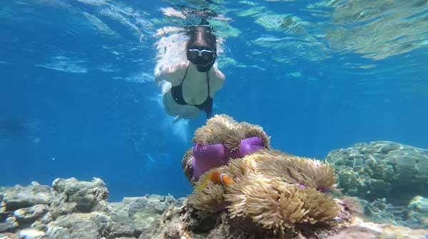 Bosra Bora snorkeling Tour