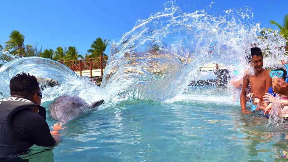 Dolphin Center Moorea, kids enjoy dolphin nearby